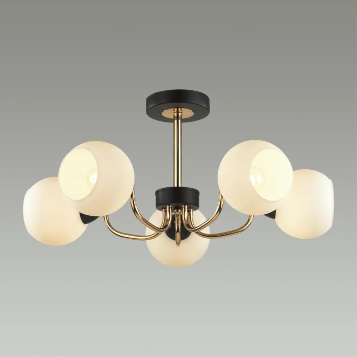 5642/5C Lumion