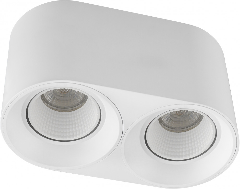 Точечный светильник DK3020WW DK3096-WH Denkirs