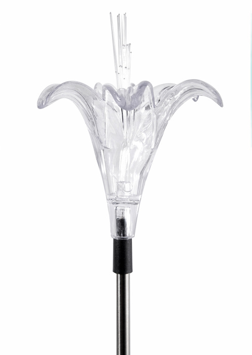 USL-S-104/MT810 Lily_