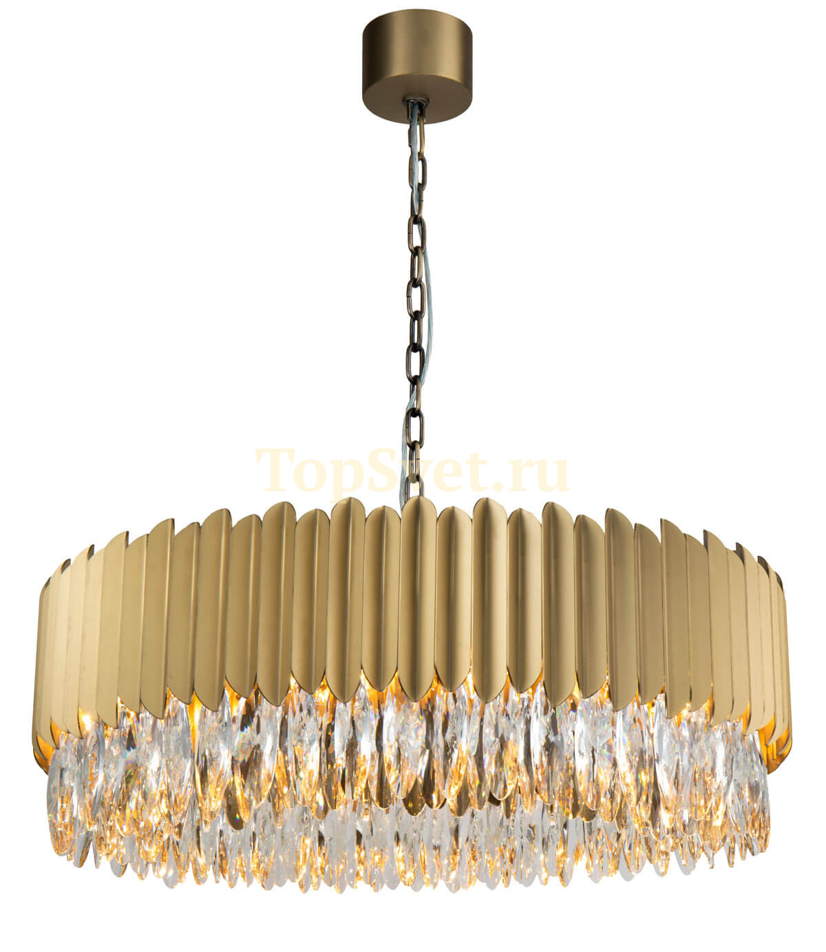 ICON 248 L16.champagne_