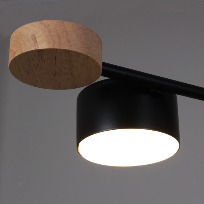 03751-0.3-08 BK+WOOD GX53_