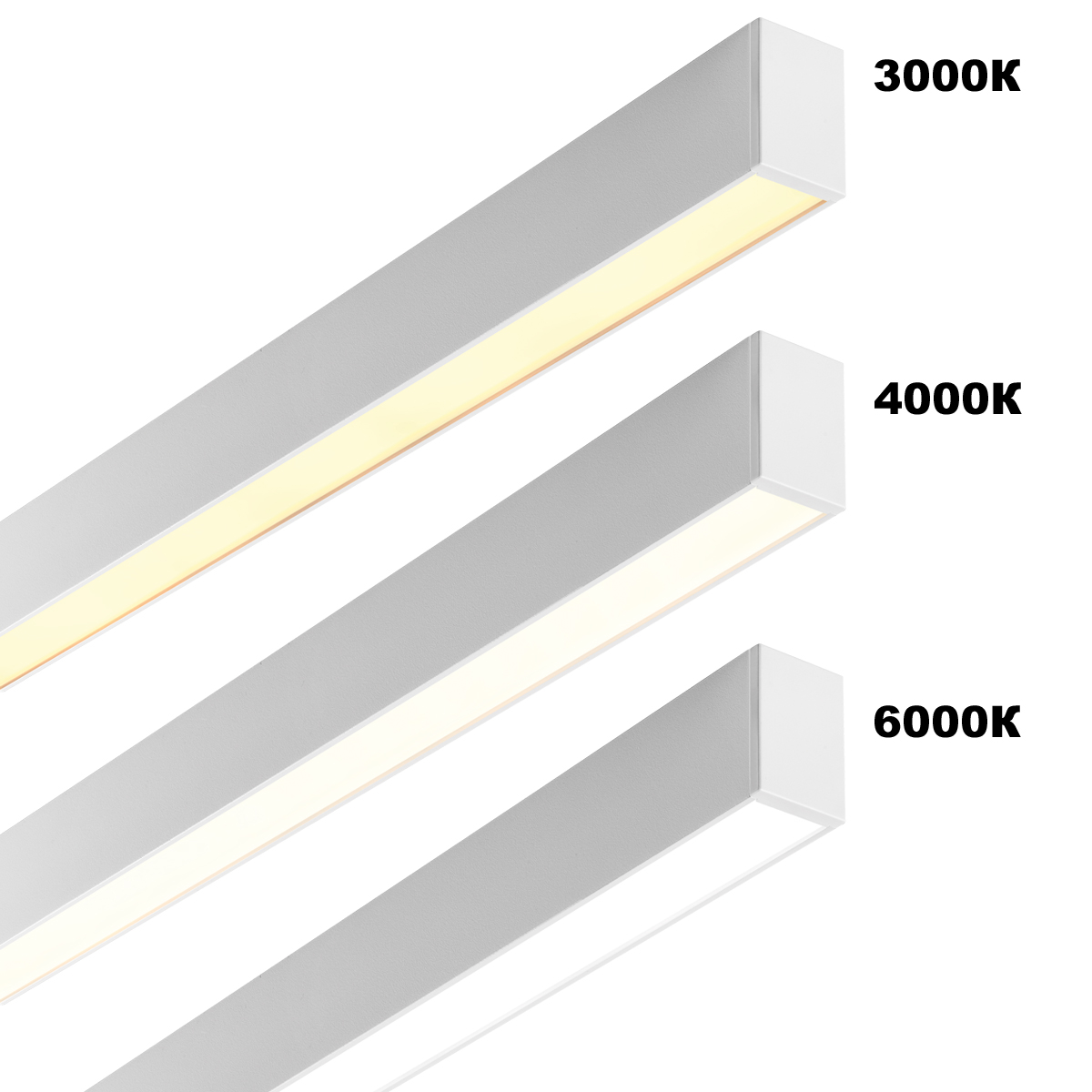 359604 Novotech