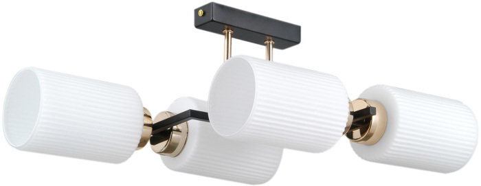 IL0809-4ASQ-25 BK AB NAPLES_