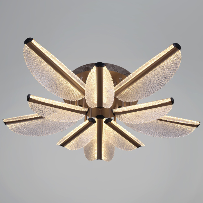 00490-0.3-5+5 champagne silver_