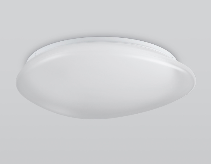 FZ1605 Ambrella