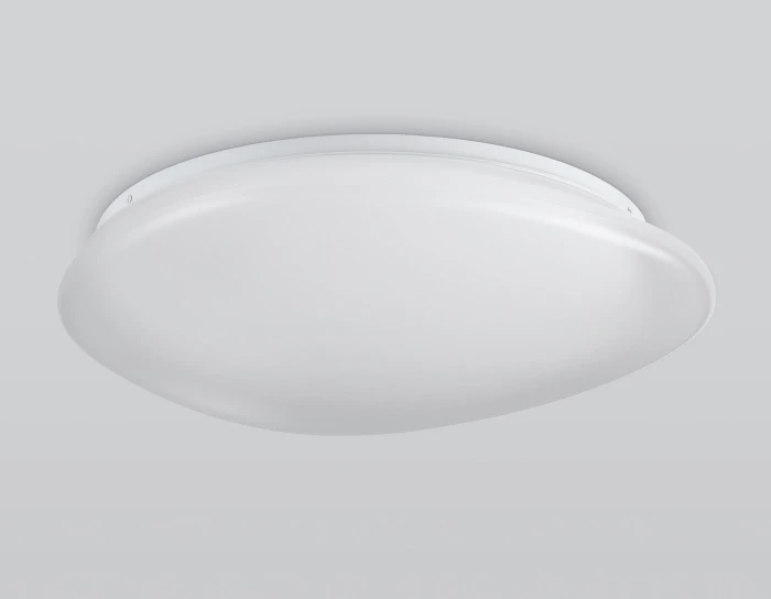 FZ1605 Ambrella
