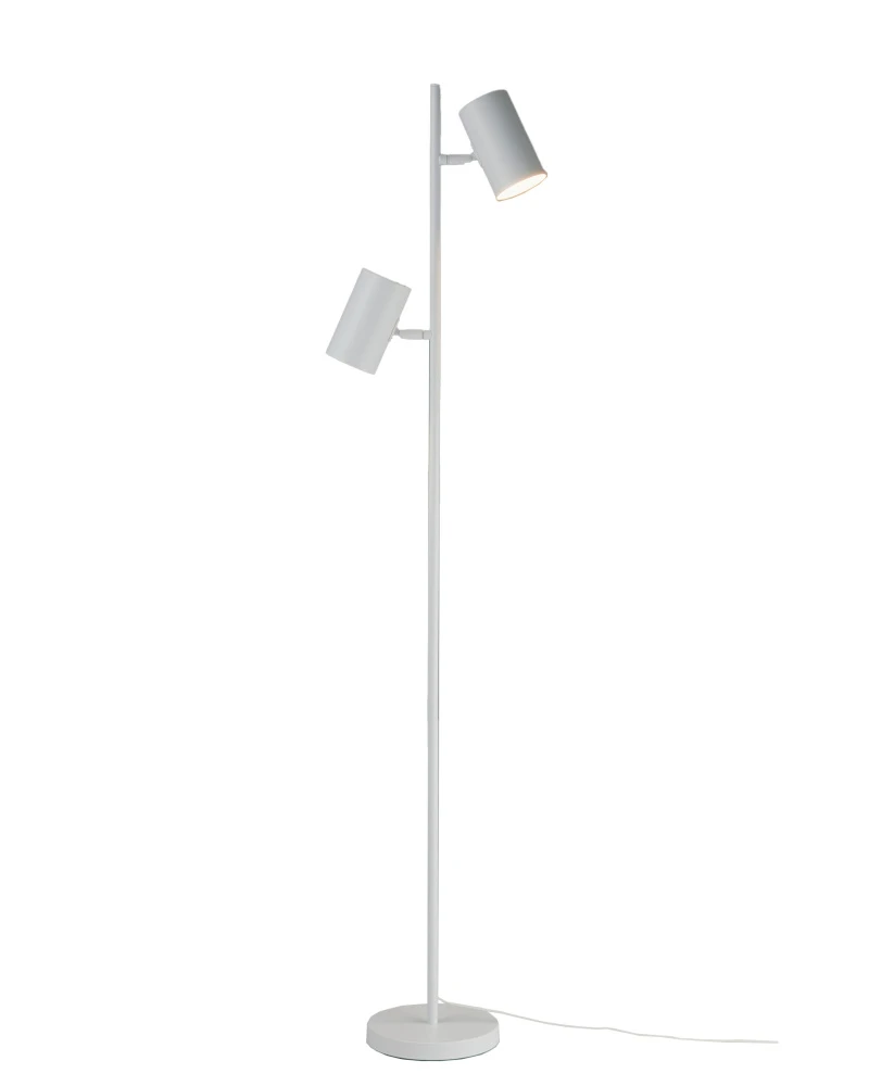 V11331-2F Moderli