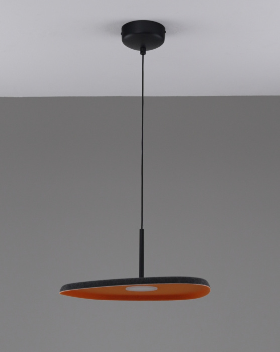 V11605-PL