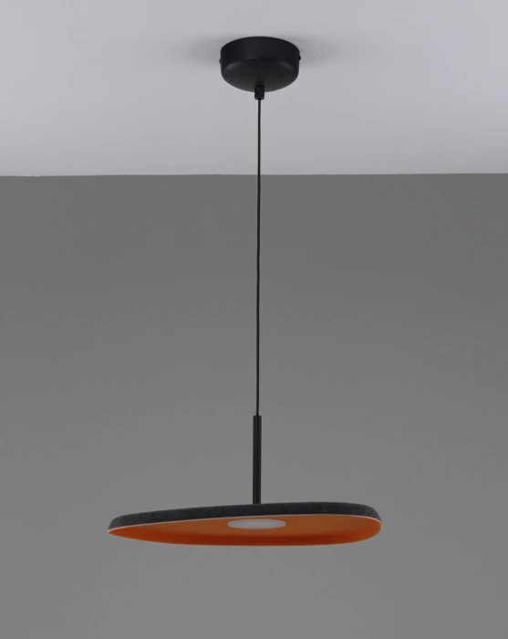 V11605-PL