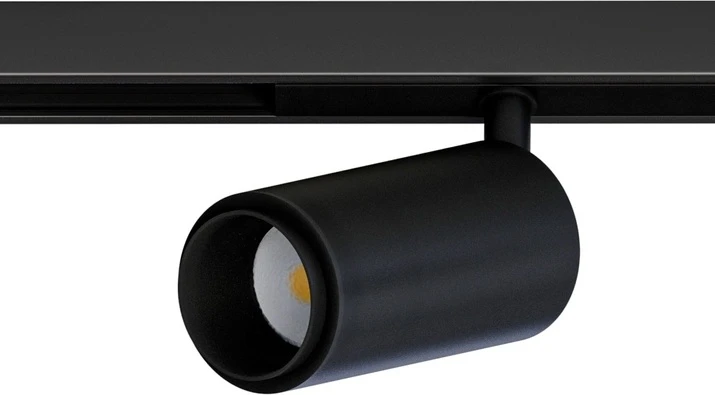A7296PL-1BK Arte Lamp
