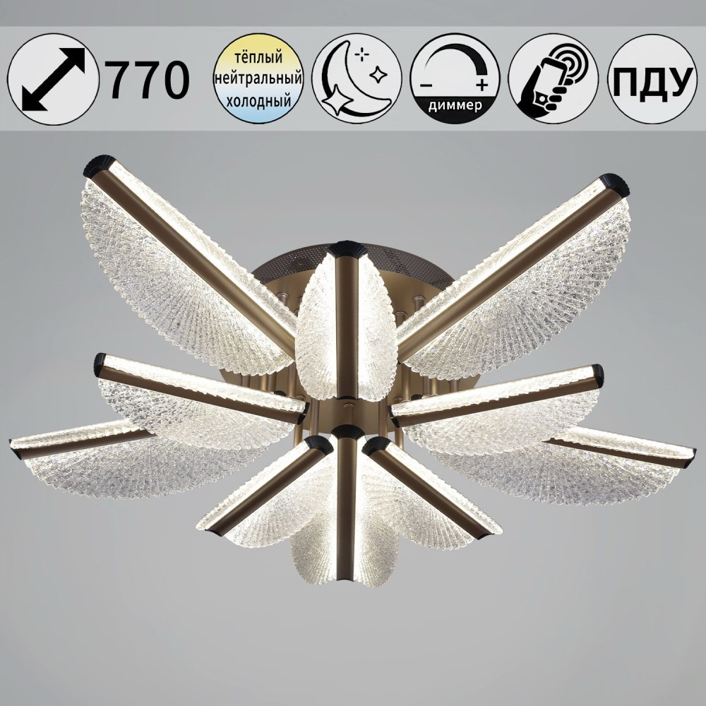 00490-0.3-5+5 champagne silver_