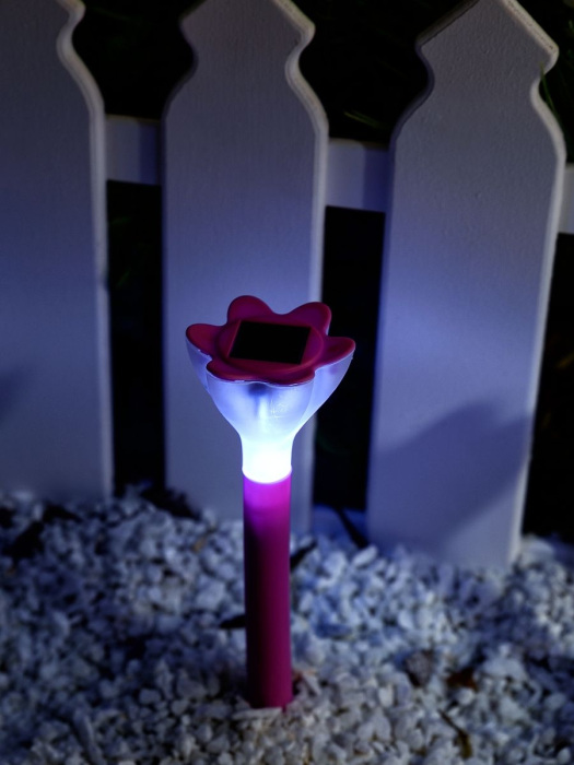 USL-C-420/PT305 PINK CROCUS_