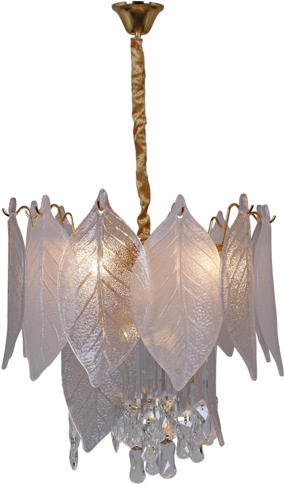IL8186-5 ILLUMICO