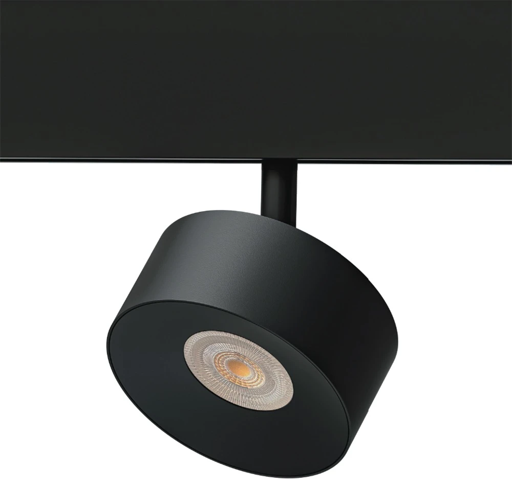 A4781PL-1BK Arte Lamp