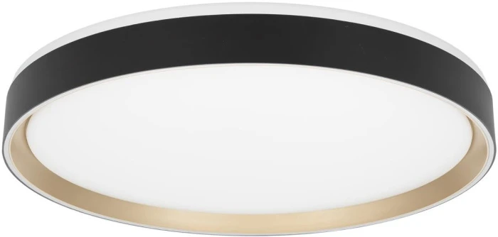 CL751451G Citilux