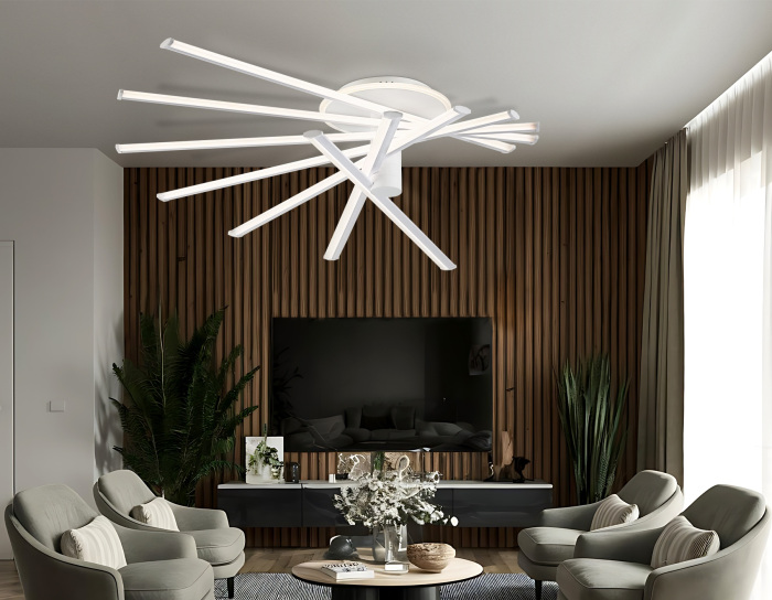 FL6241 Ambrella