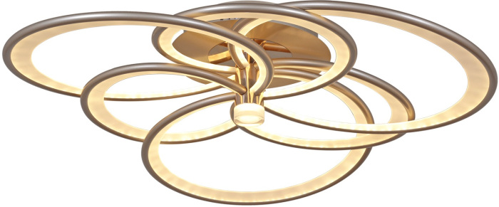 09246-0.3-3+3 Champaign silver_