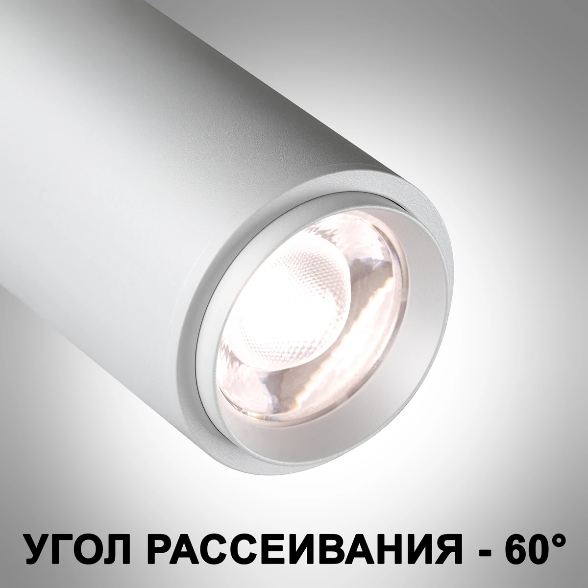 359028 Novotech