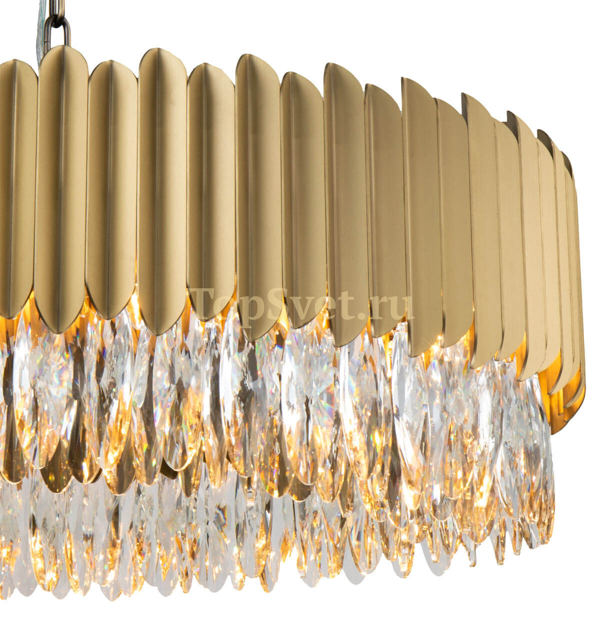 ICON 248 L16.champagne_