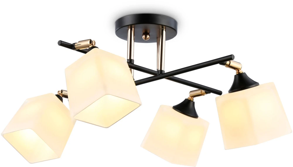 TR303084 Ambrella