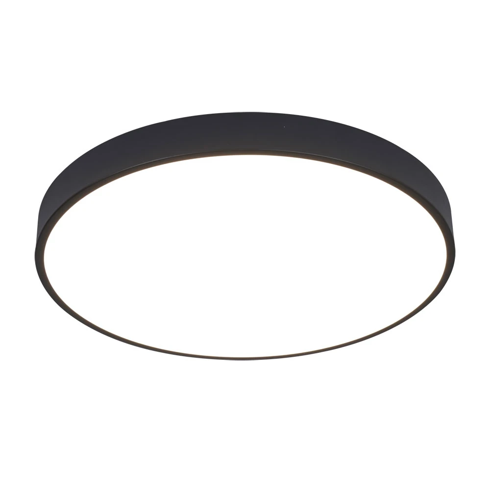 A2672PL-1BK Arte Lamp