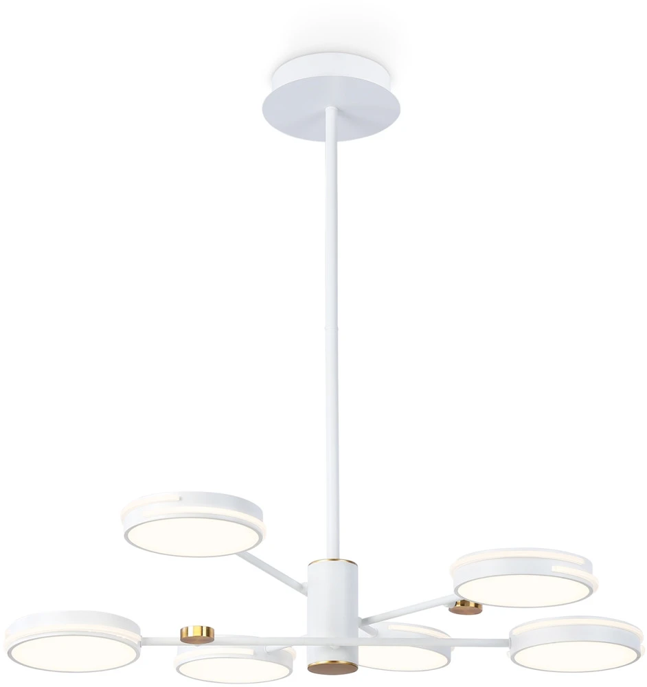 FL51635 Ambrella