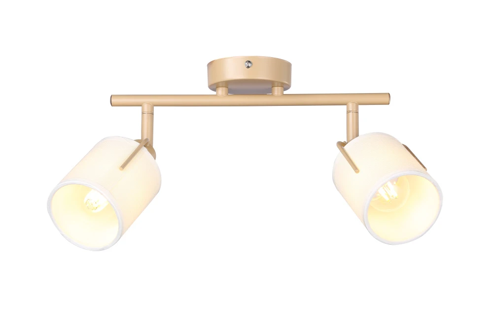 V11854-2C Moderli