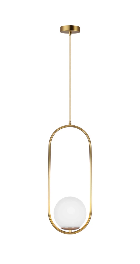 V11585-1P Moderli