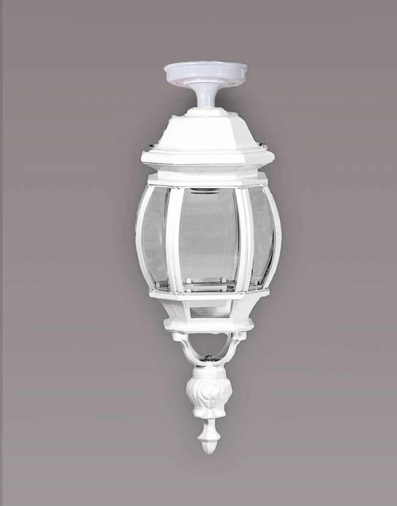 83405LA W Oasis Light