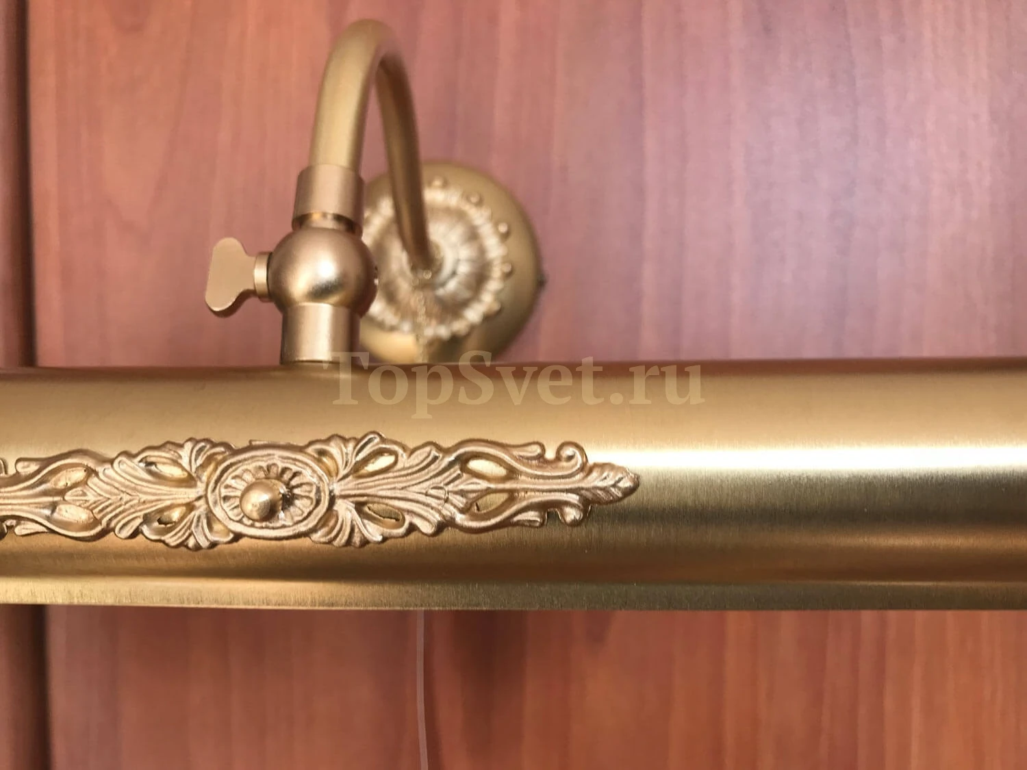 01006 CHAMPAGNE Nervilamp