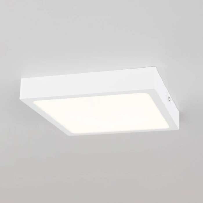 CL55K22N Citilux