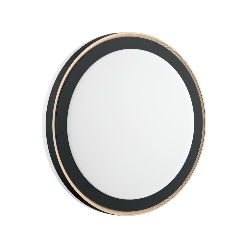 Настенно-потолочный светильник Akuna 7620/DLN Sonex