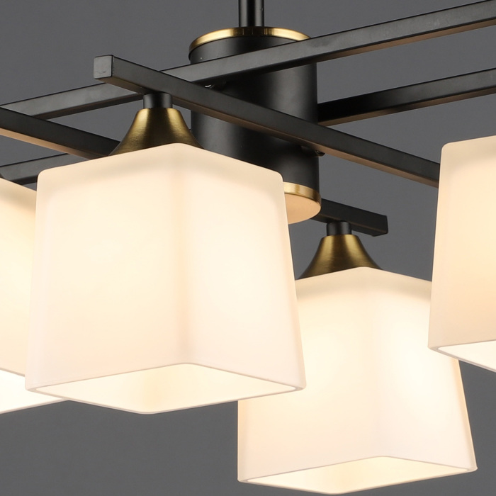 06668-0.3-08 BK+COP_