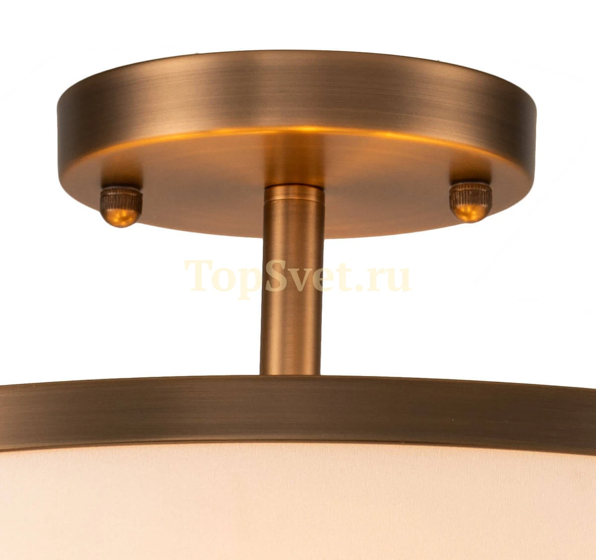 DAISY 080 PL06.coffee Lava Di Oro