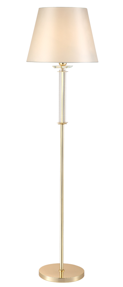 NICOLAS PT1 GOLD/WHITE_