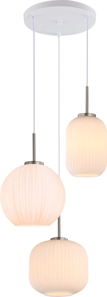 V11033-3P Moderli