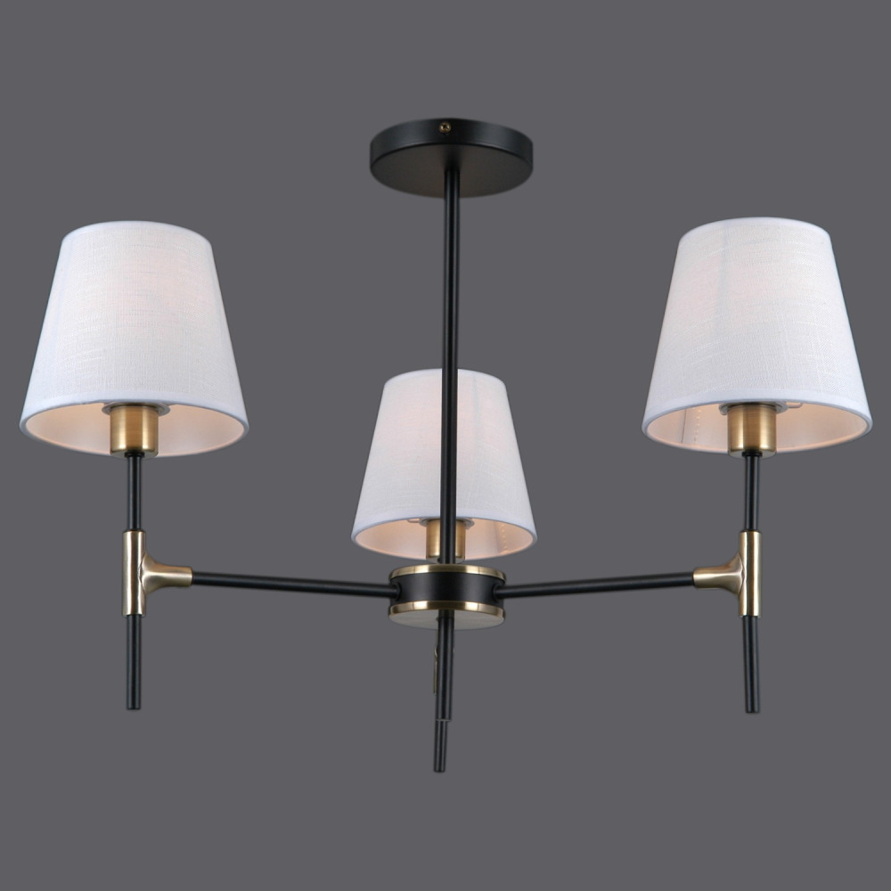 IL0185-3CSQ-24 BK AB CASTOR_