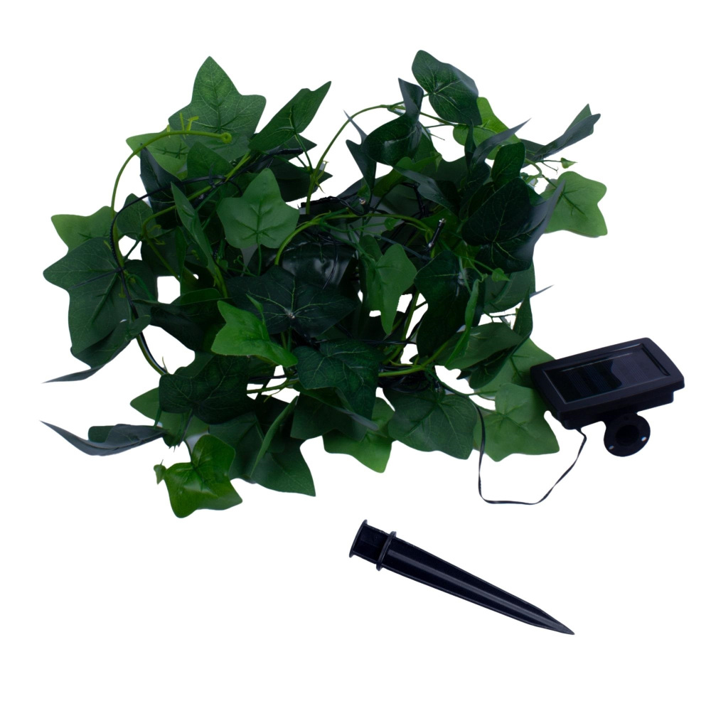 USL-S-135/PT2000 IVY_