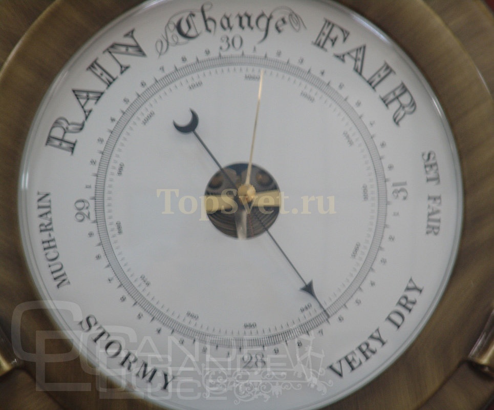 100.17 A WOOD+BR D25,5_