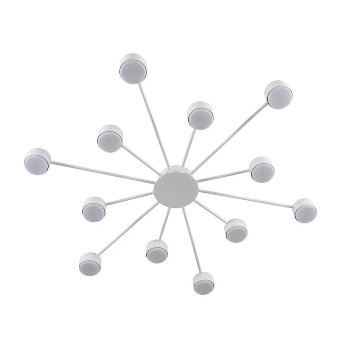 8343/12C Lumion