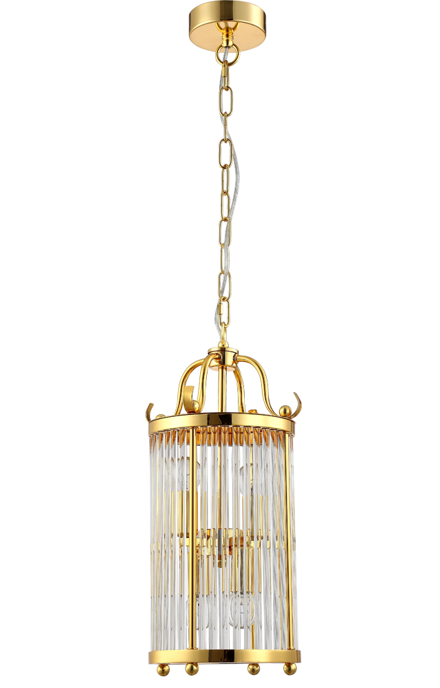 TADEO SP4 D200 GOLD/TRANSPARENTE_