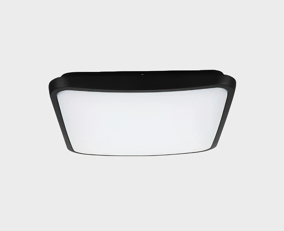 IT6012 Italline