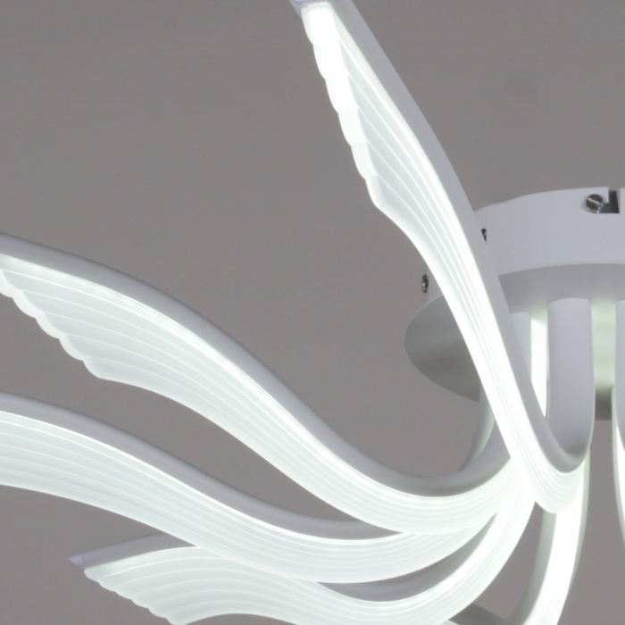 35390-0.3-5+5 white_