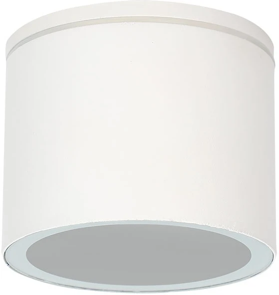 A1913PF-1WH Arte Lamp