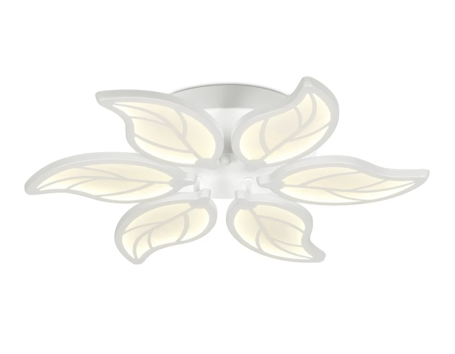 FA459 Ambrella