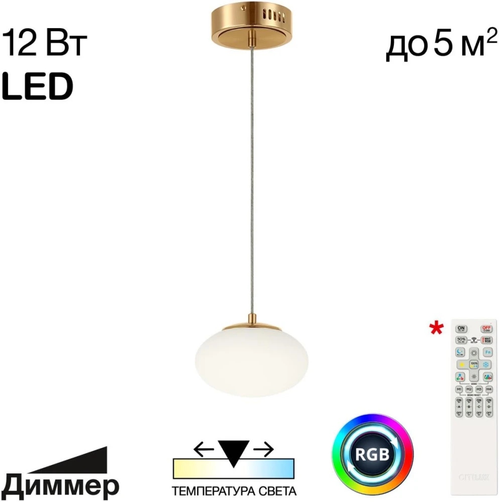 CL226B013 Citilux