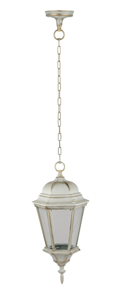 91405L cover Gw Oasis Light