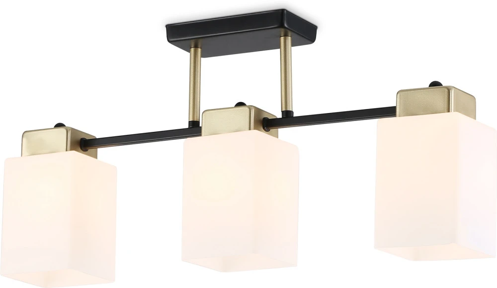 TR303046 Ambrella