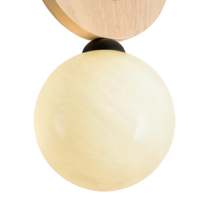 FR5593PL-01B1