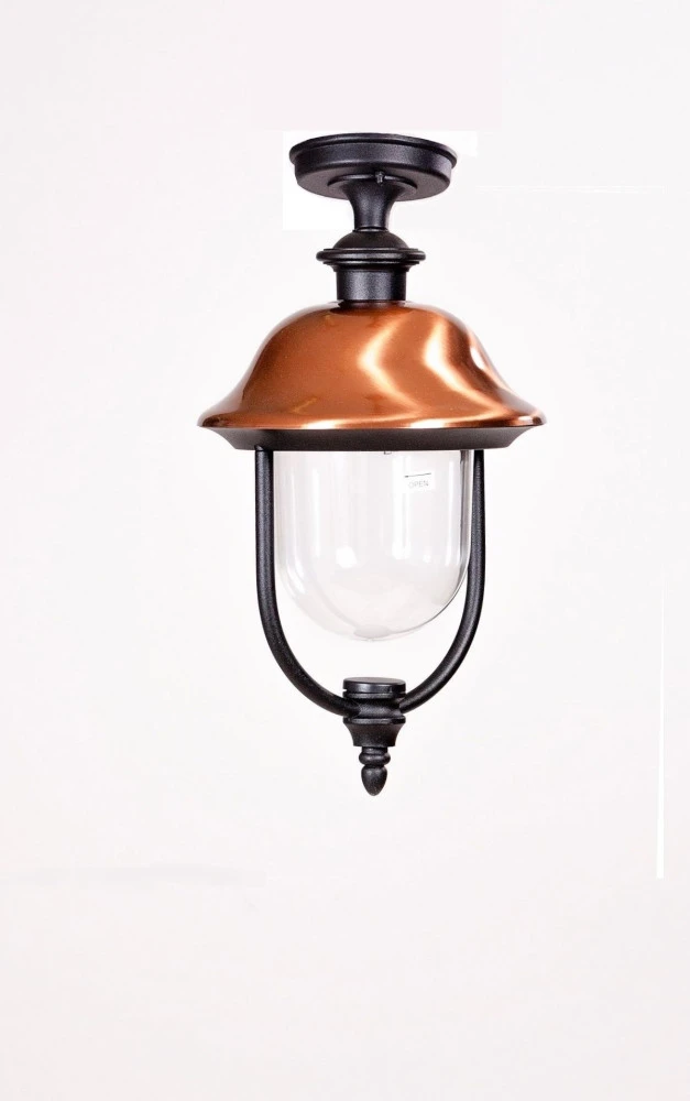 84305cA Bl Oasis Light